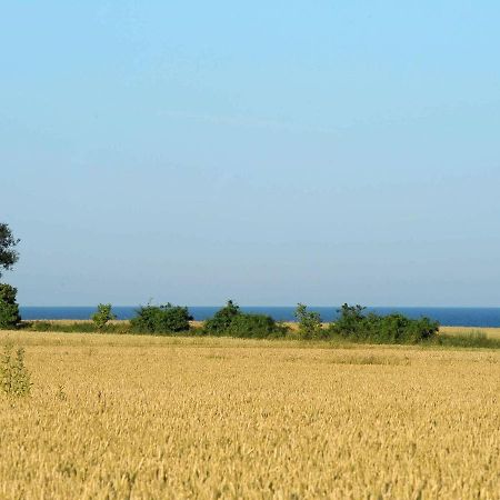 14 Person Holiday Home In R Sk Bing Ærøskøbing 외부 사진